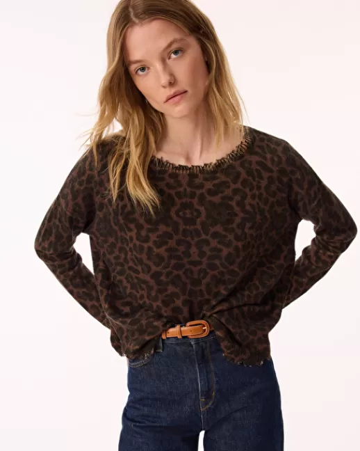 Kujten Pulls & Sweats | Léopard | Pull Melah Leopard Pull Cachemire Femme, 2 fils MarronLeoprint